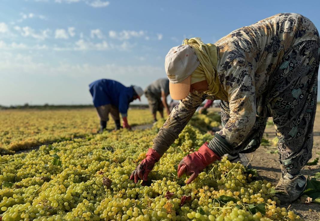 12 aylık emekte son dönemeç: 500 milyon dolar getiriyor 8
